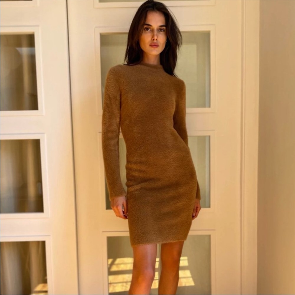 Aritzia Babaton Madison Dress
